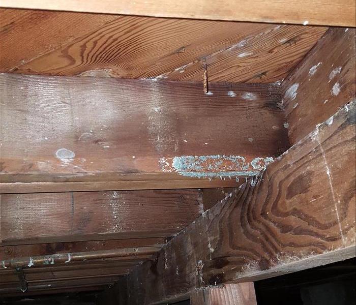 Moisture in basement attic crawl space causes mold growth 