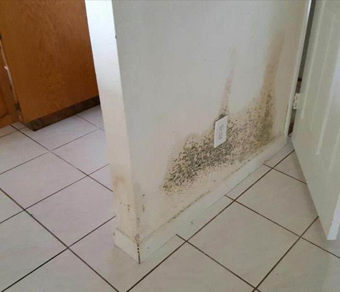 Mold spreading on a wall in a San Diego home. Caused by water damage and moisture in environment. SERVPRO team was quick to 
