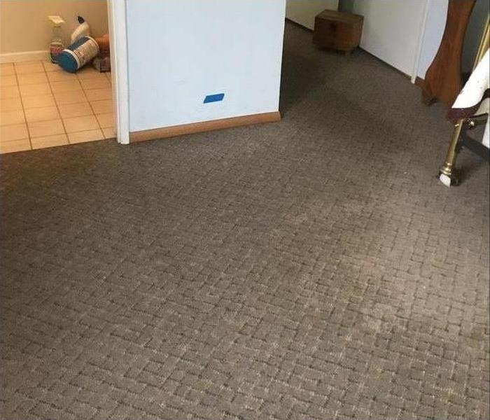 Carpet in a bedroom has water damage from overflowing en suite bathroom sink