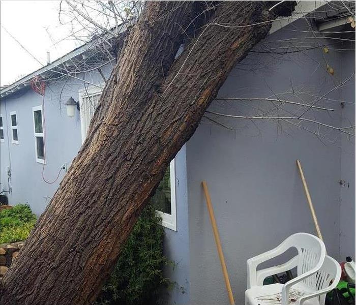San Diego winter storm causes big tree to fall on Lakeside home creating wall and water damage to hard wood floors inside