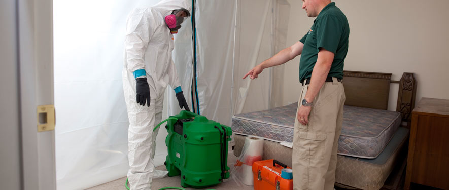 Santee, CA mold removal process